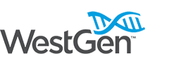 westgen strategic planning